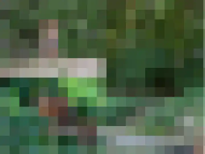 Duinen 4 Oostvoorne thumbnail 29