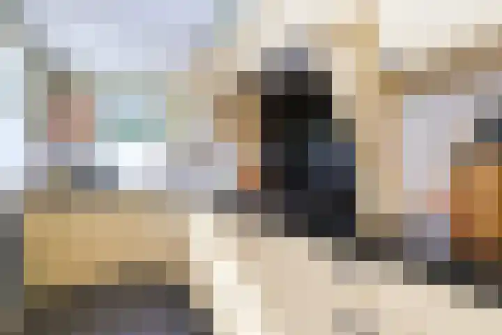 Duinen 4 Oostvoorne thumbnail 9
