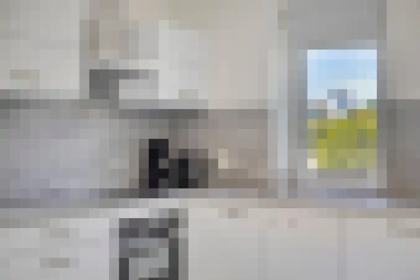 Duinen 5 Kamperland thumbnail 12