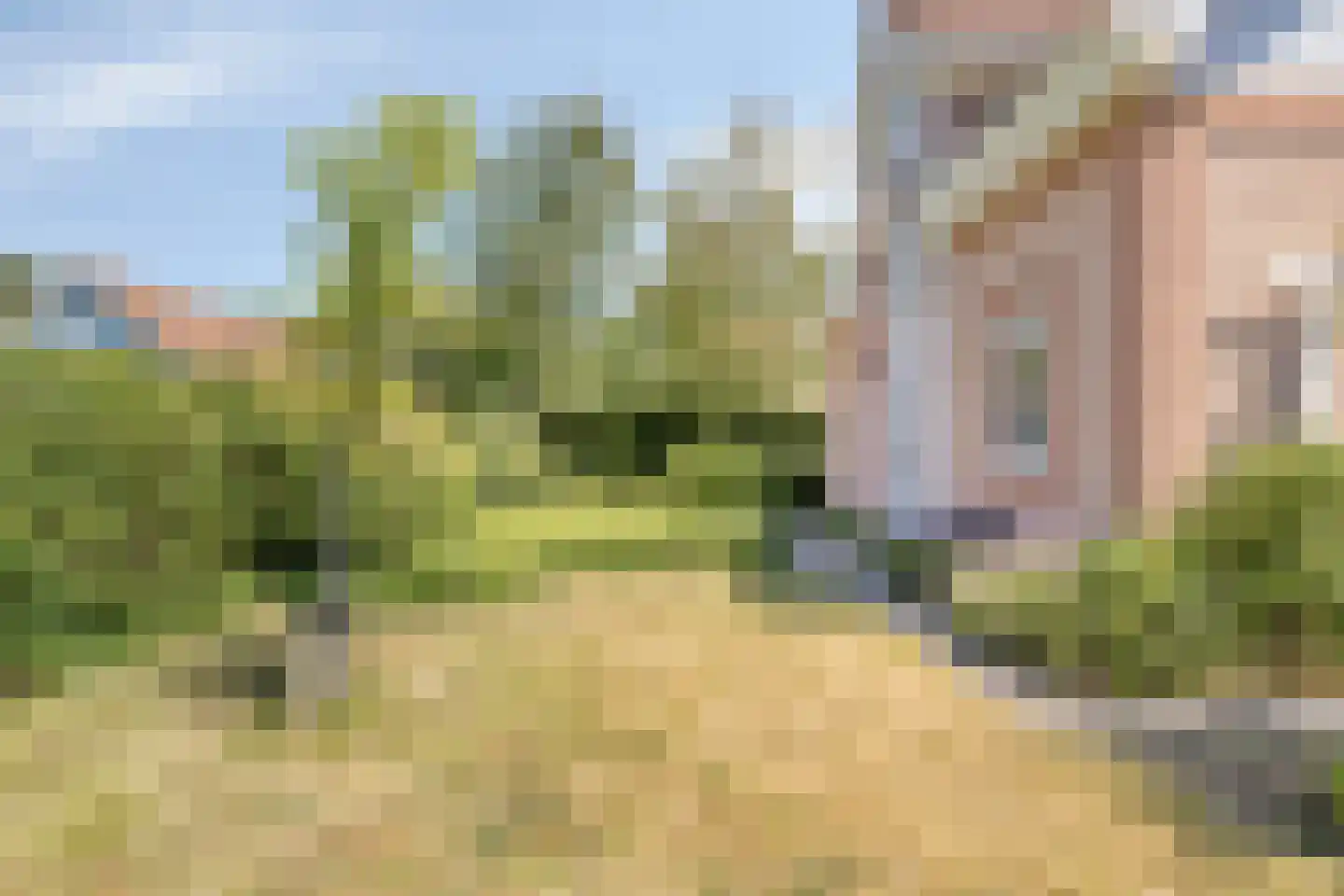 Duinen 5 Kamperland thumbnail 21
