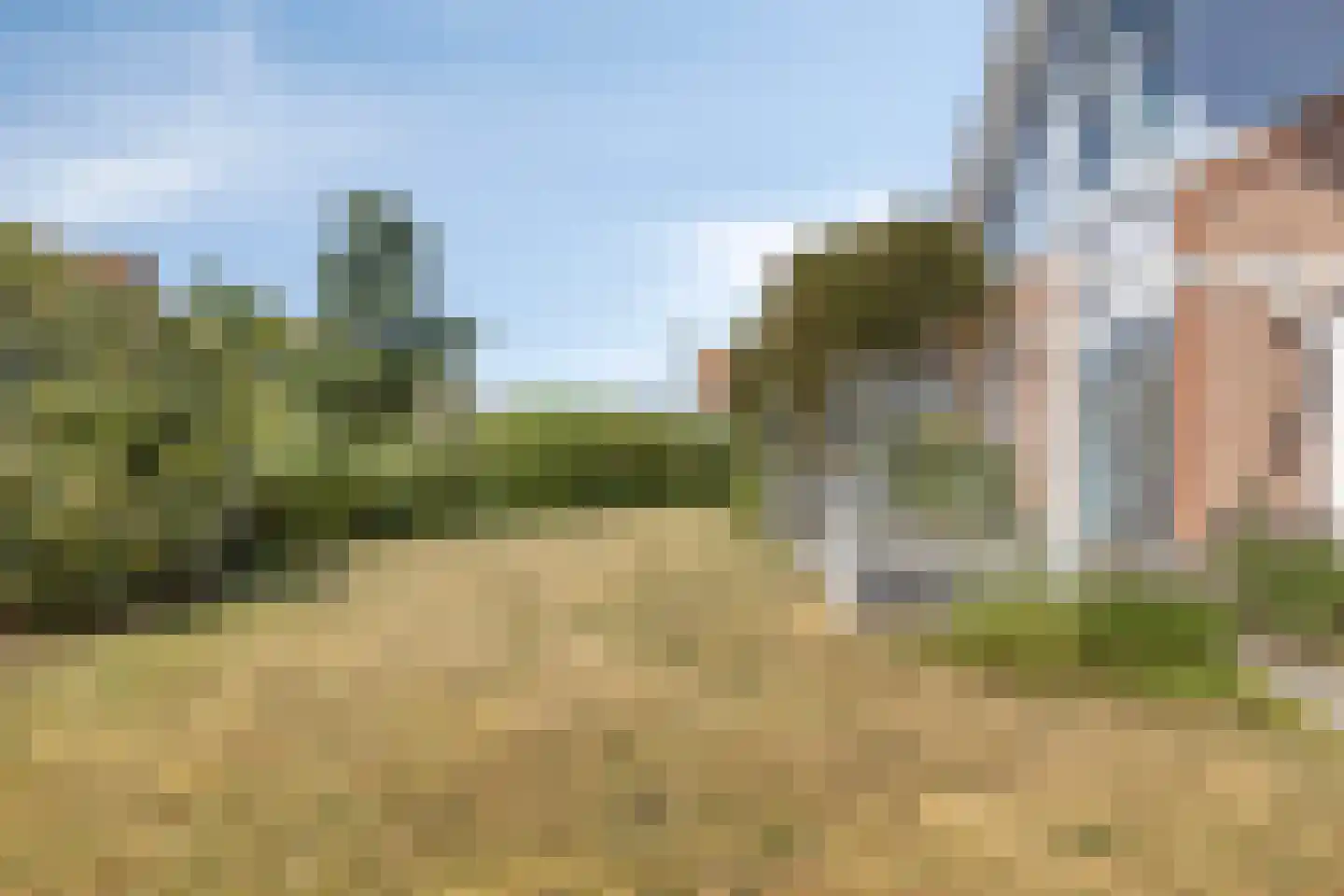 Duinen 5 Kamperland thumbnail 23