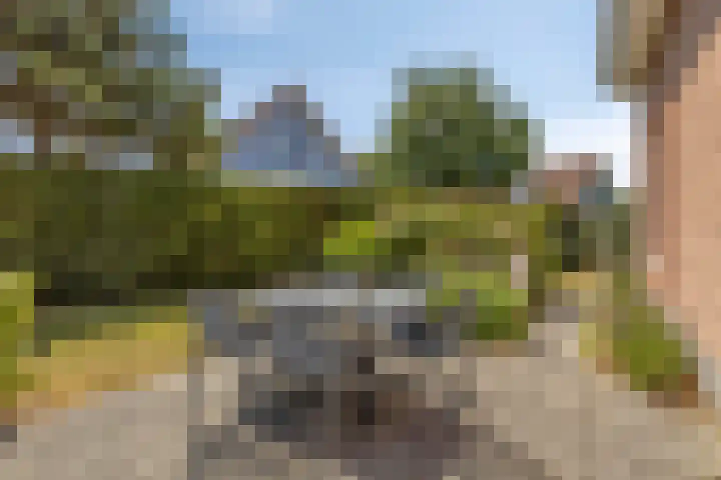 Duinen 5 Kamperland thumbnail 24