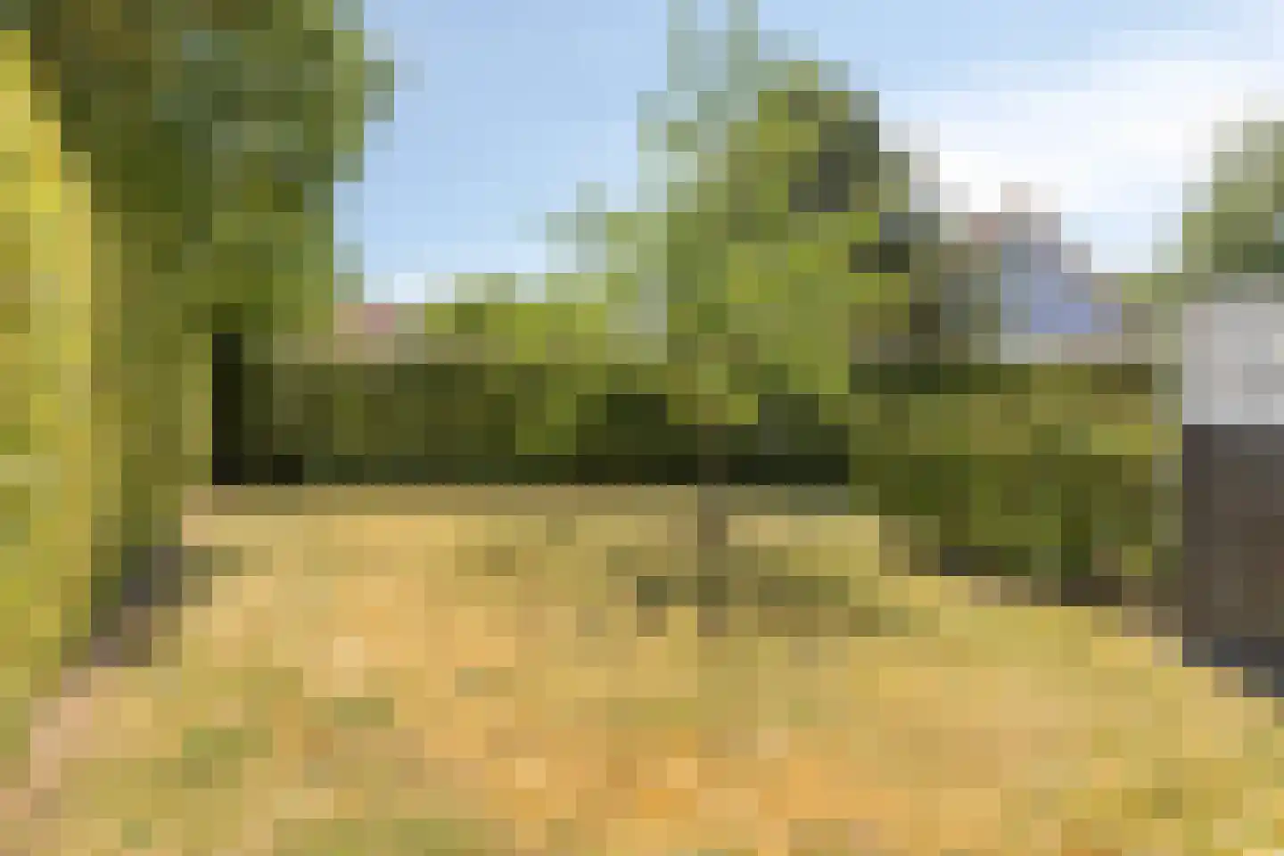 Duinen 5 Kamperland thumbnail 26
