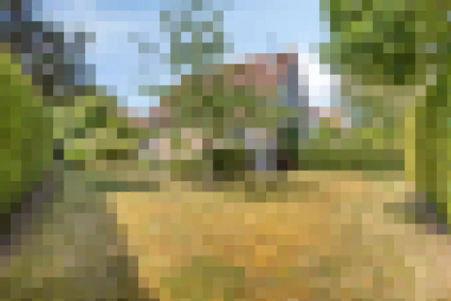 Duinen 5 Kamperland thumbnail 28