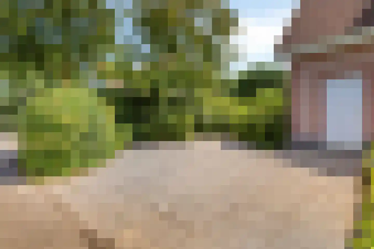 Duinen 5 Kamperland thumbnail 5