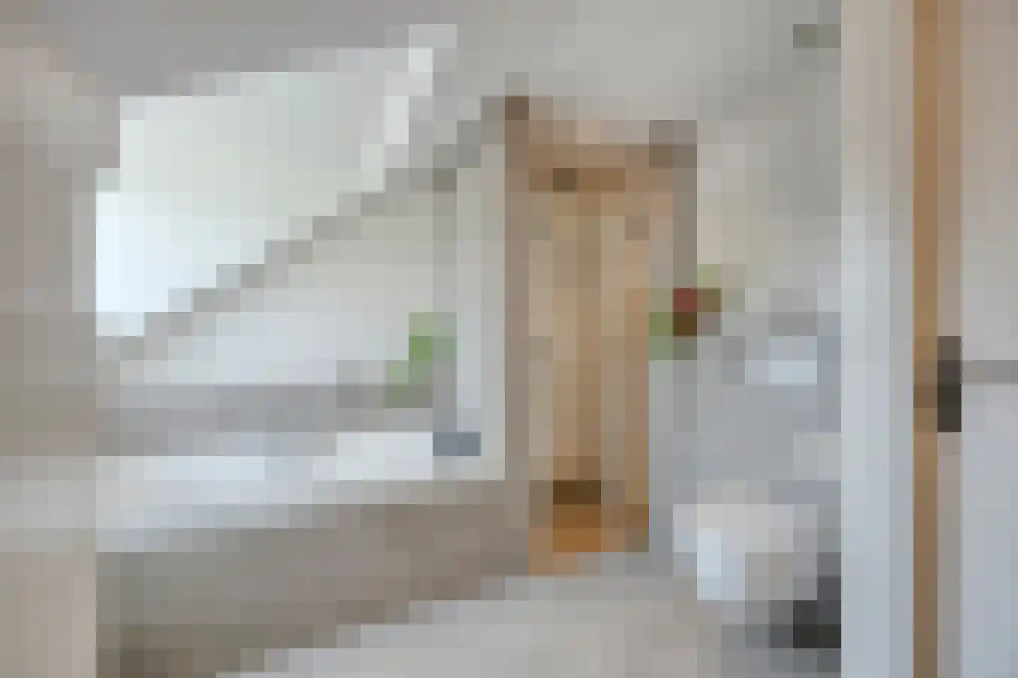 Duinenberg 19 Beegden thumbnail 36
