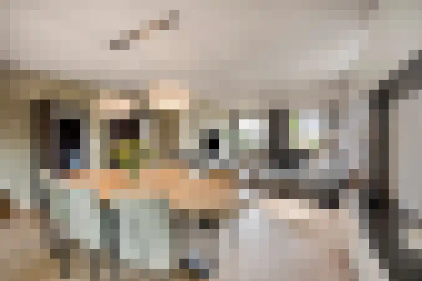 Duinenberg 19 Beegden thumbnail 4