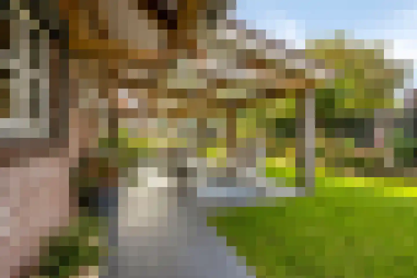 Duinenberg 19 Beegden thumbnail 43