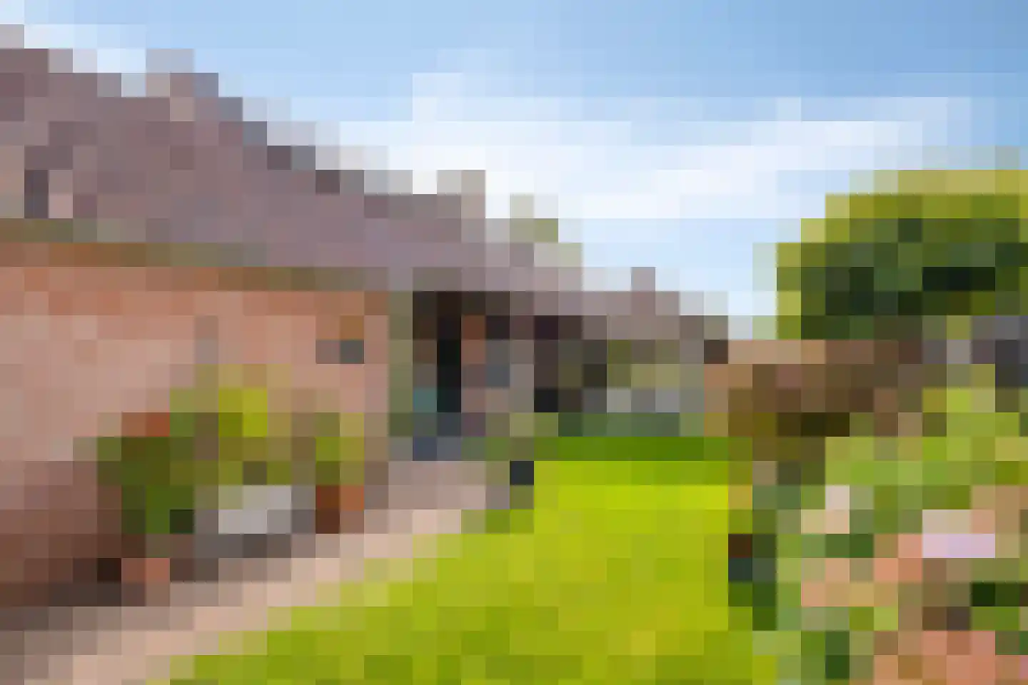 Duinenberg 19 Beegden thumbnail 45
