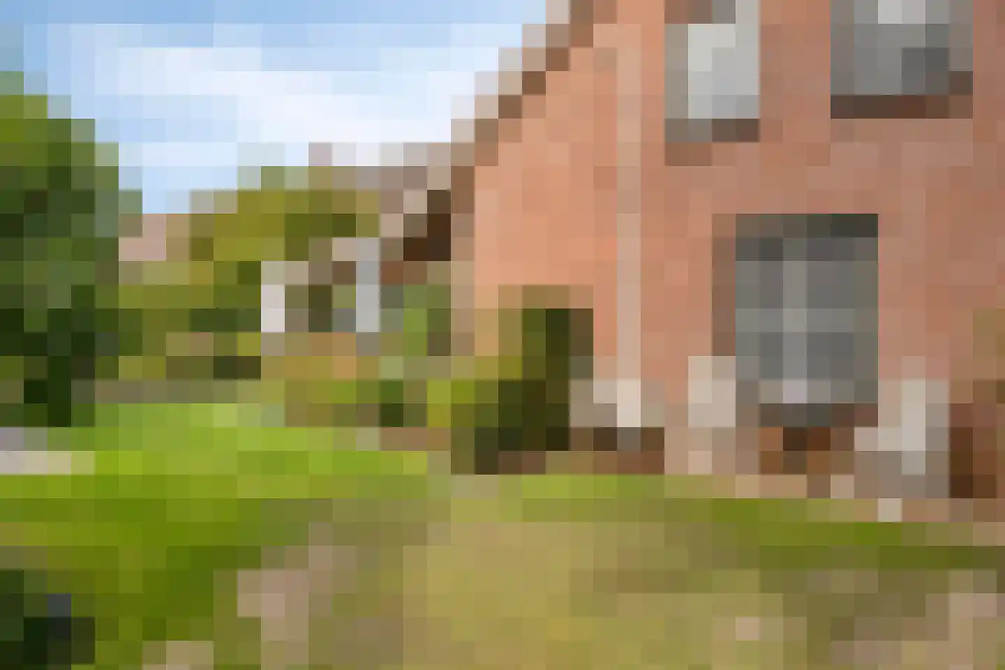 Duinenberg 19 Beegden thumbnail 46