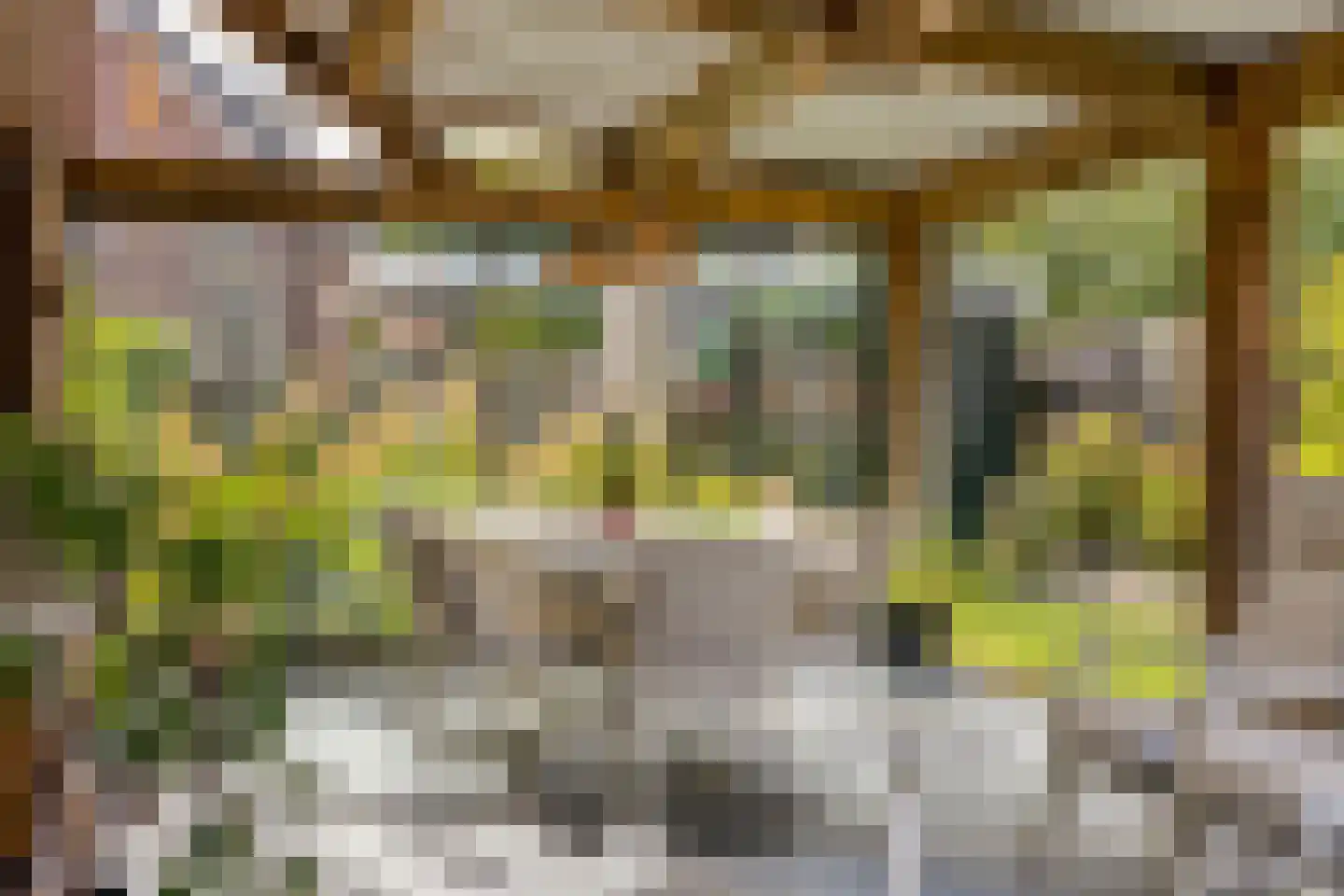 Duinenberg 19 Beegden thumbnail 48
