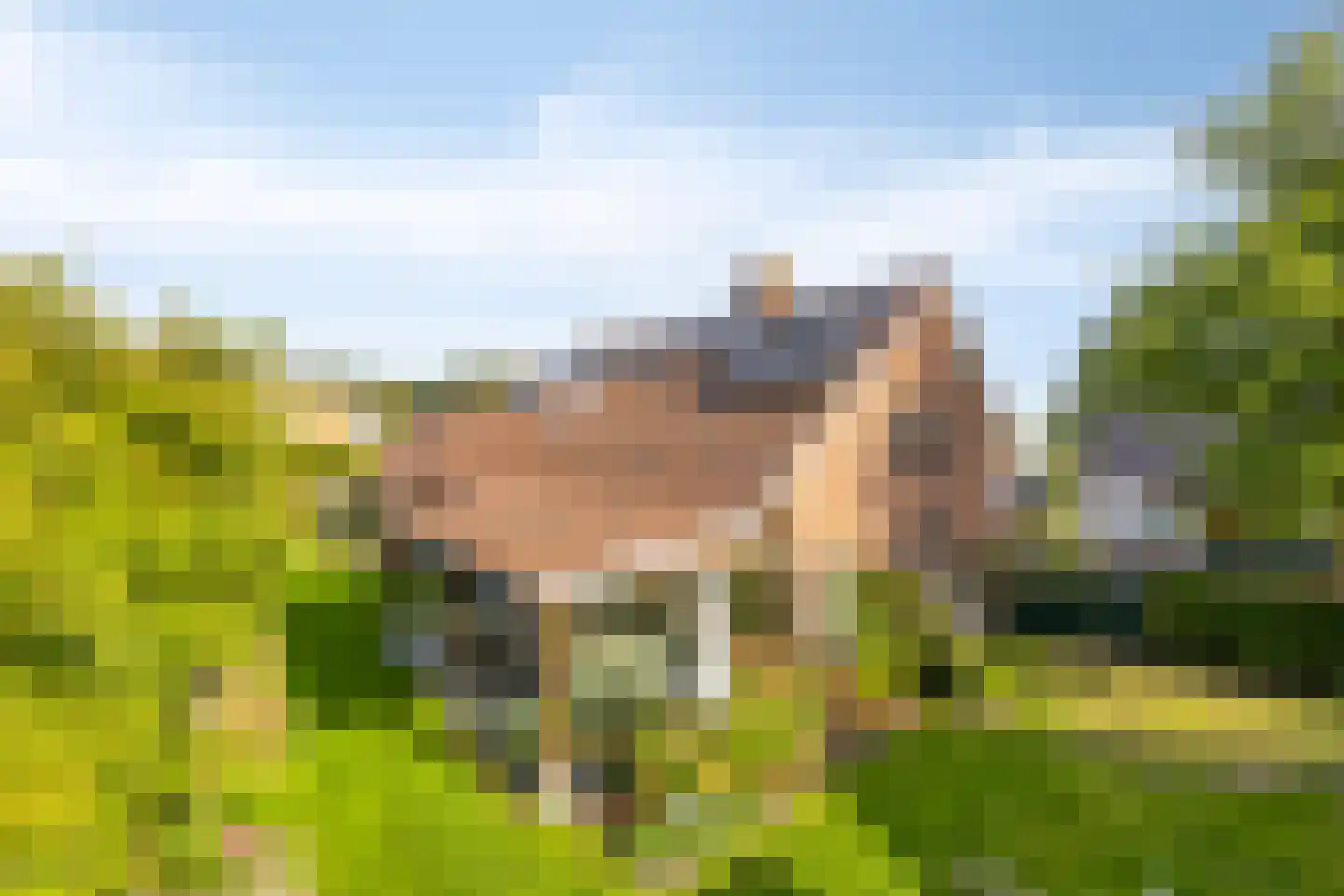 Duinenberg 19 Beegden thumbnail 49