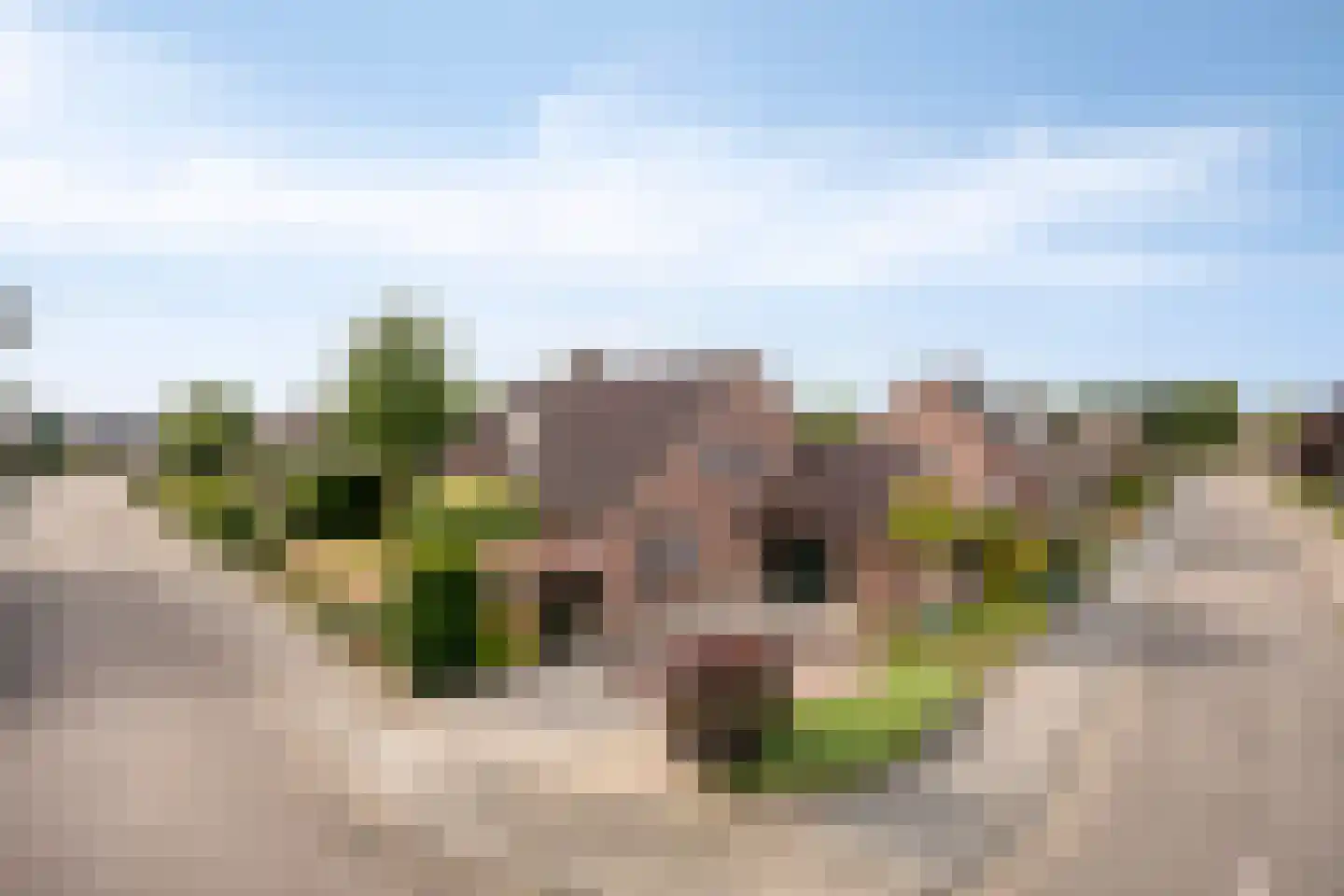 Duinenberg 19 Beegden thumbnail 57