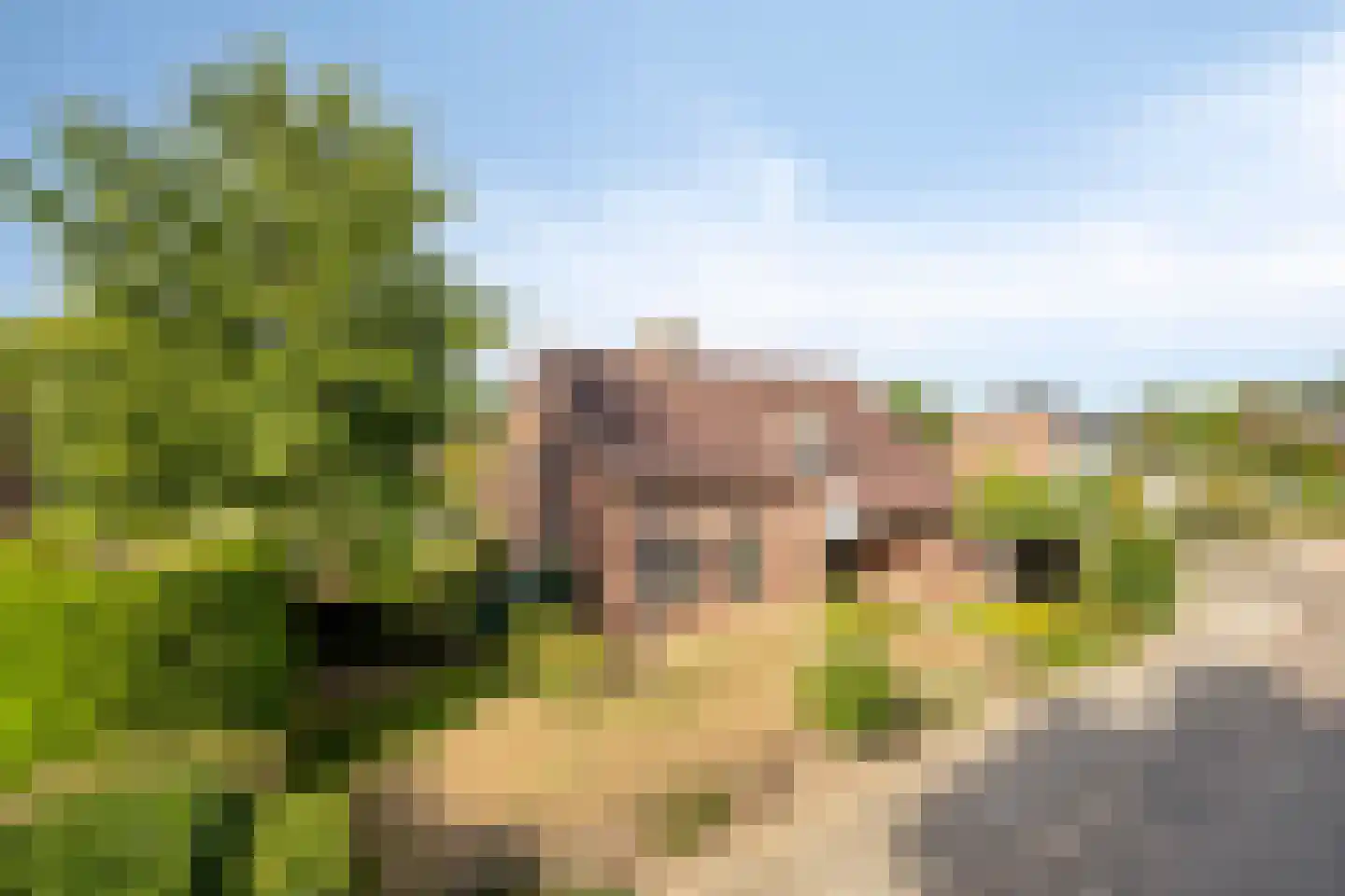 Duinenberg 19 Beegden thumbnail 58