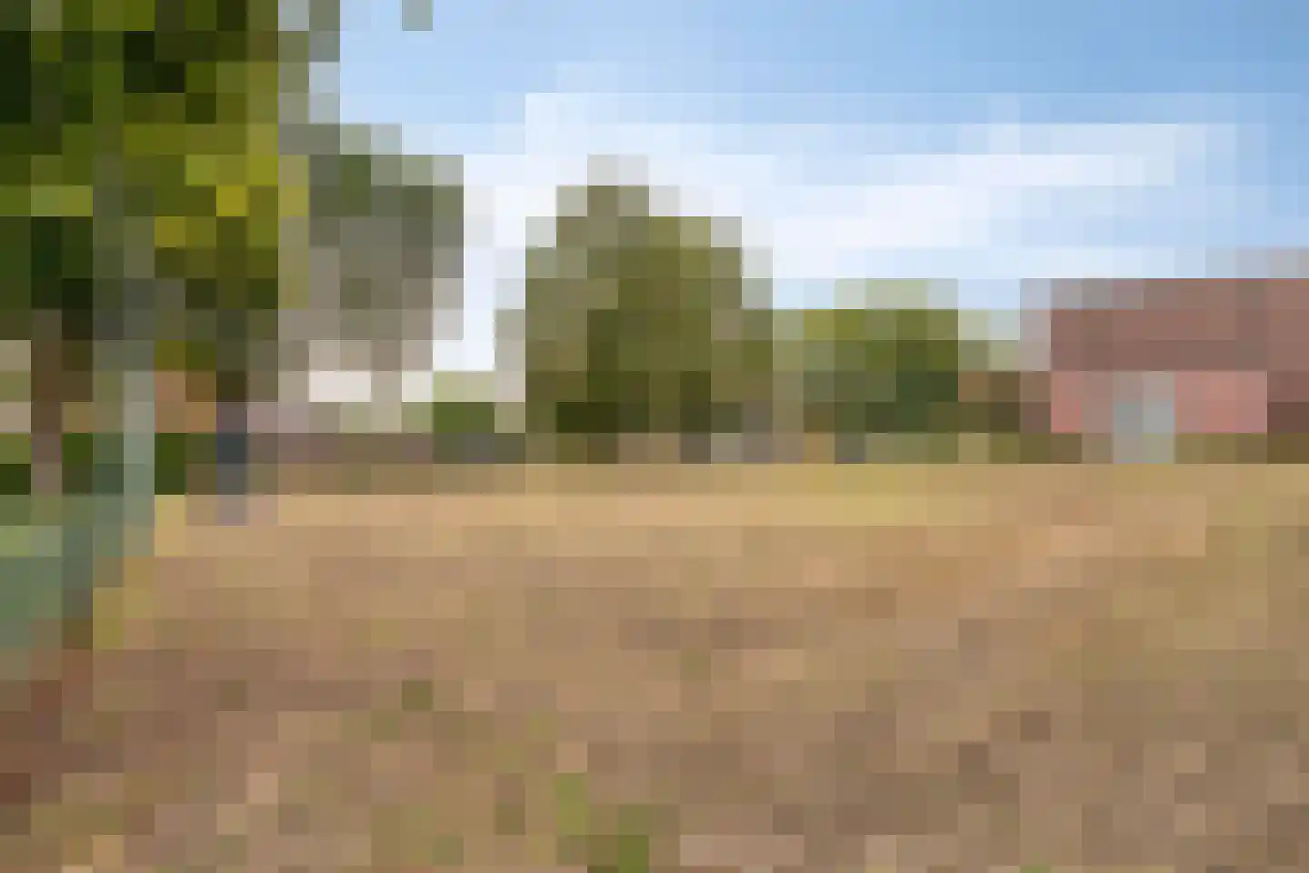 Duinenberg 19 Beegden thumbnail 60