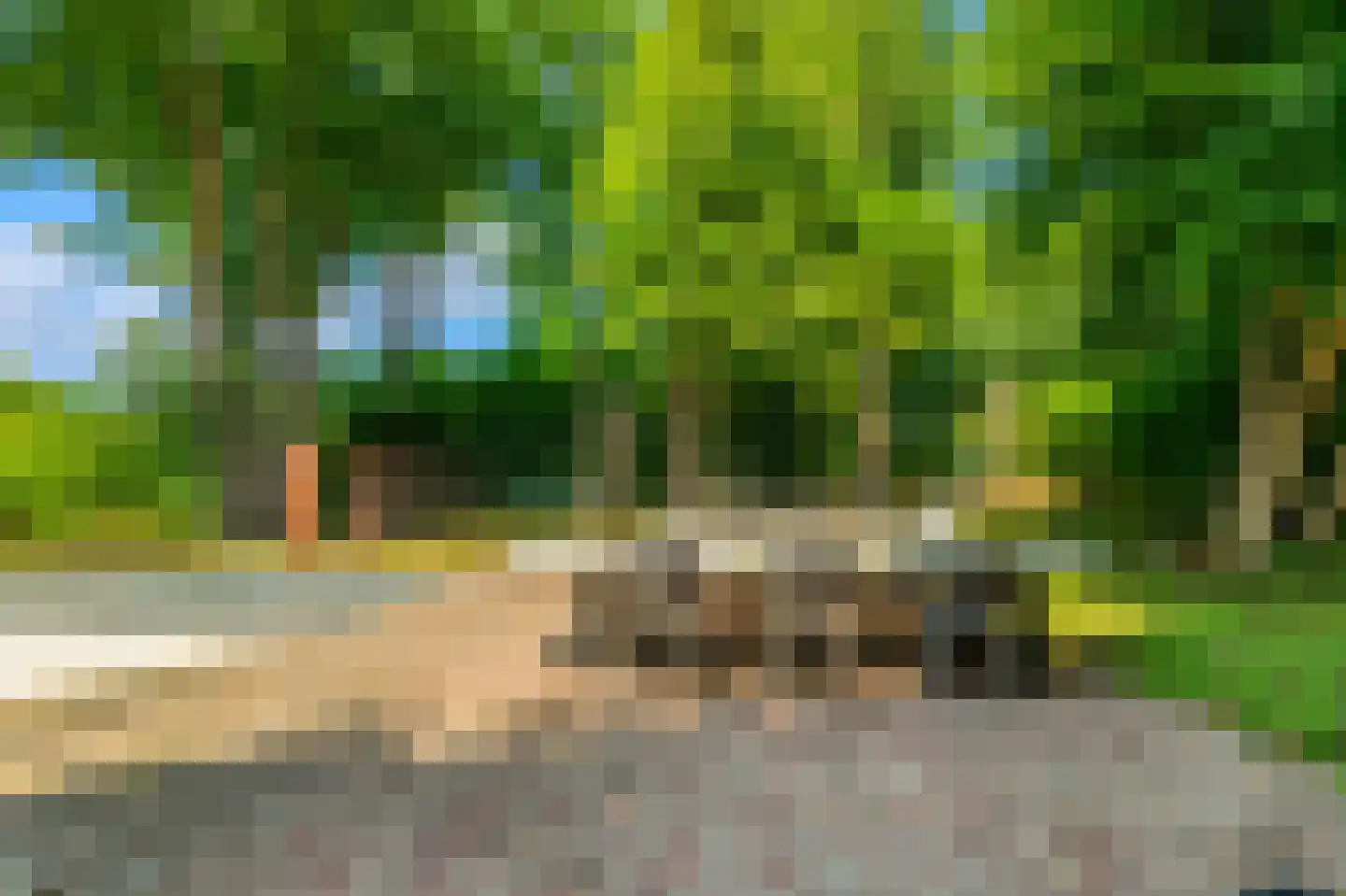Duinenboschweg 5 Castricum thumbnail 32