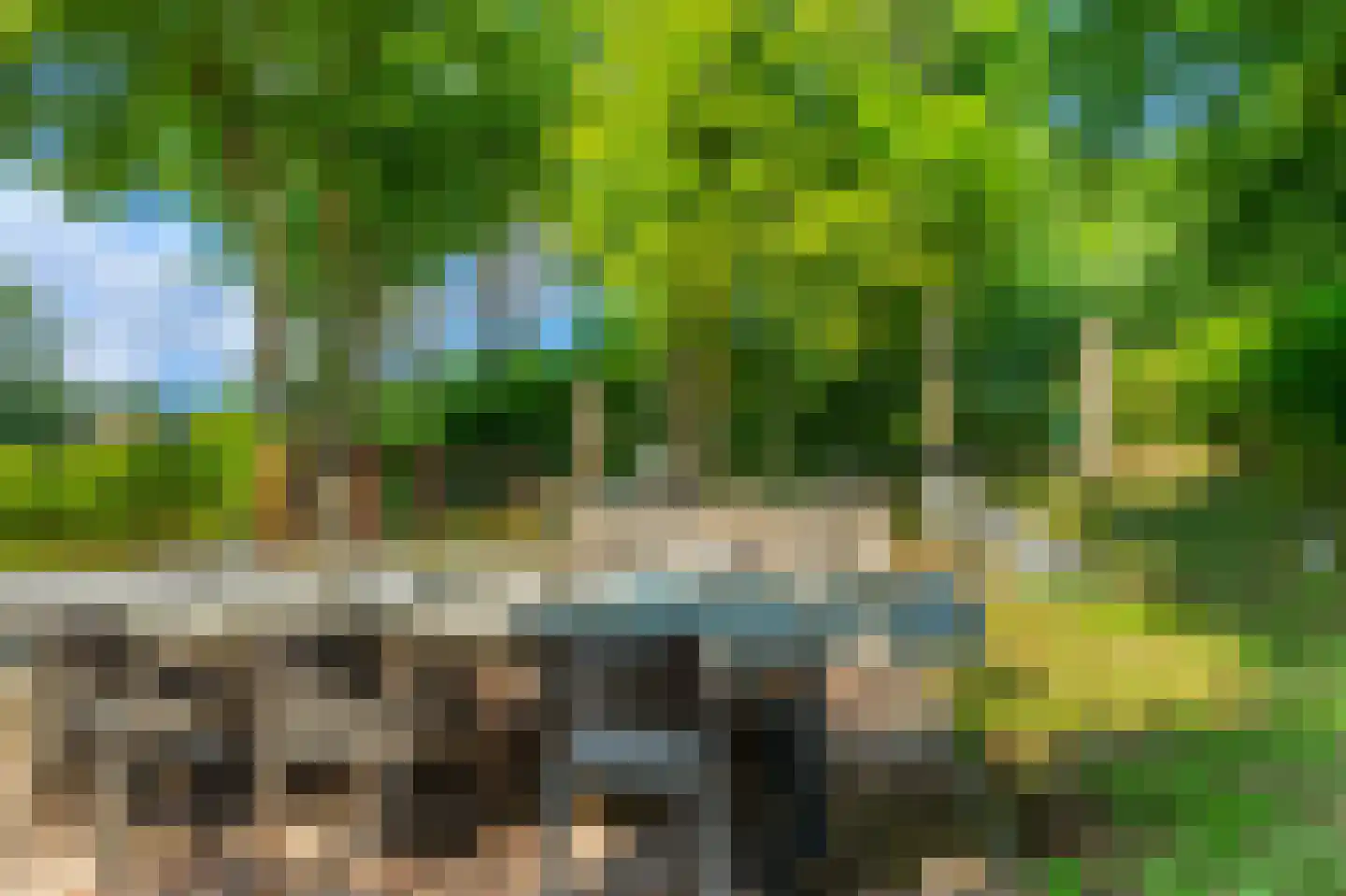 Duinenboschweg 5 Castricum thumbnail 33