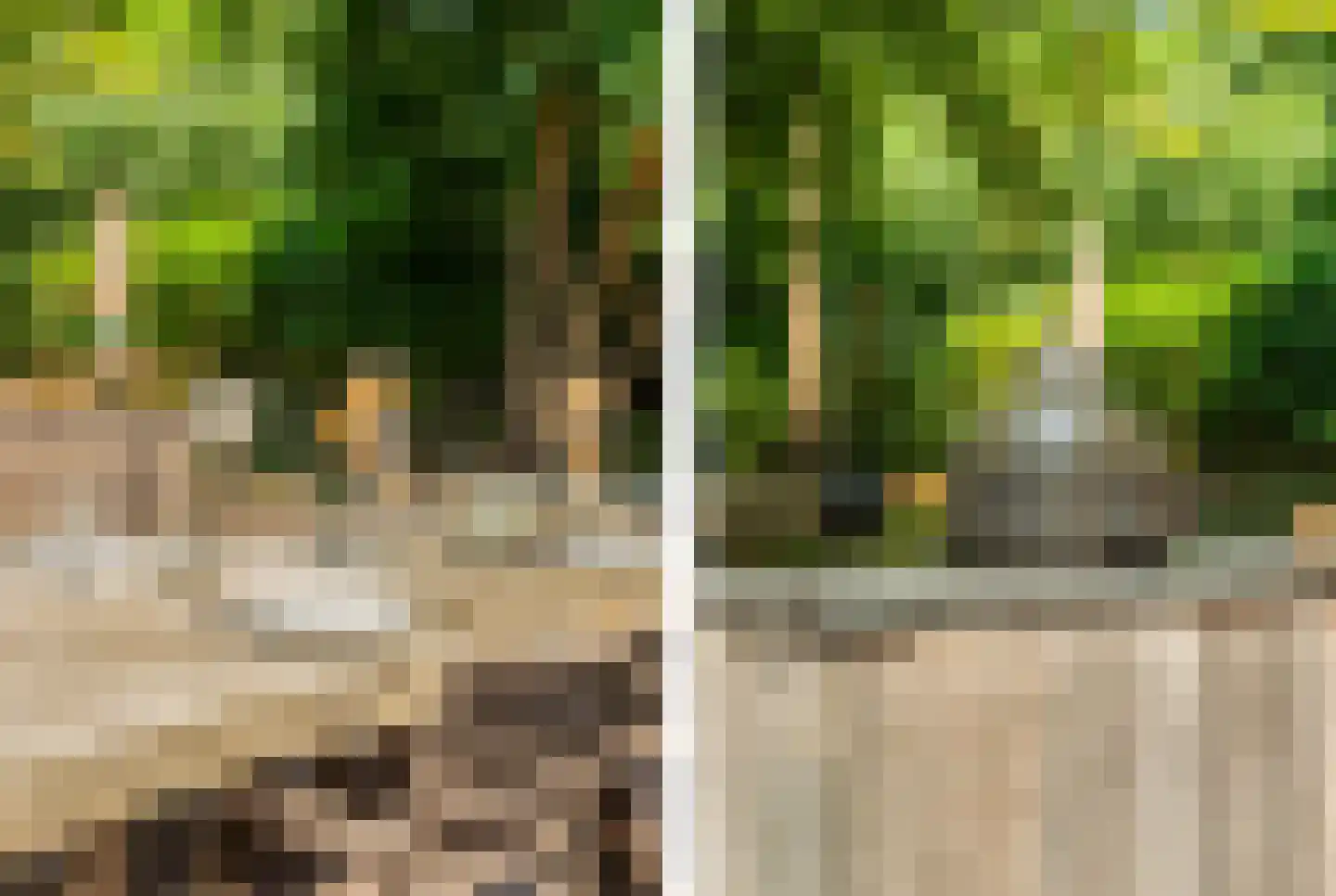 Duinenboschweg 5 Castricum thumbnail 34