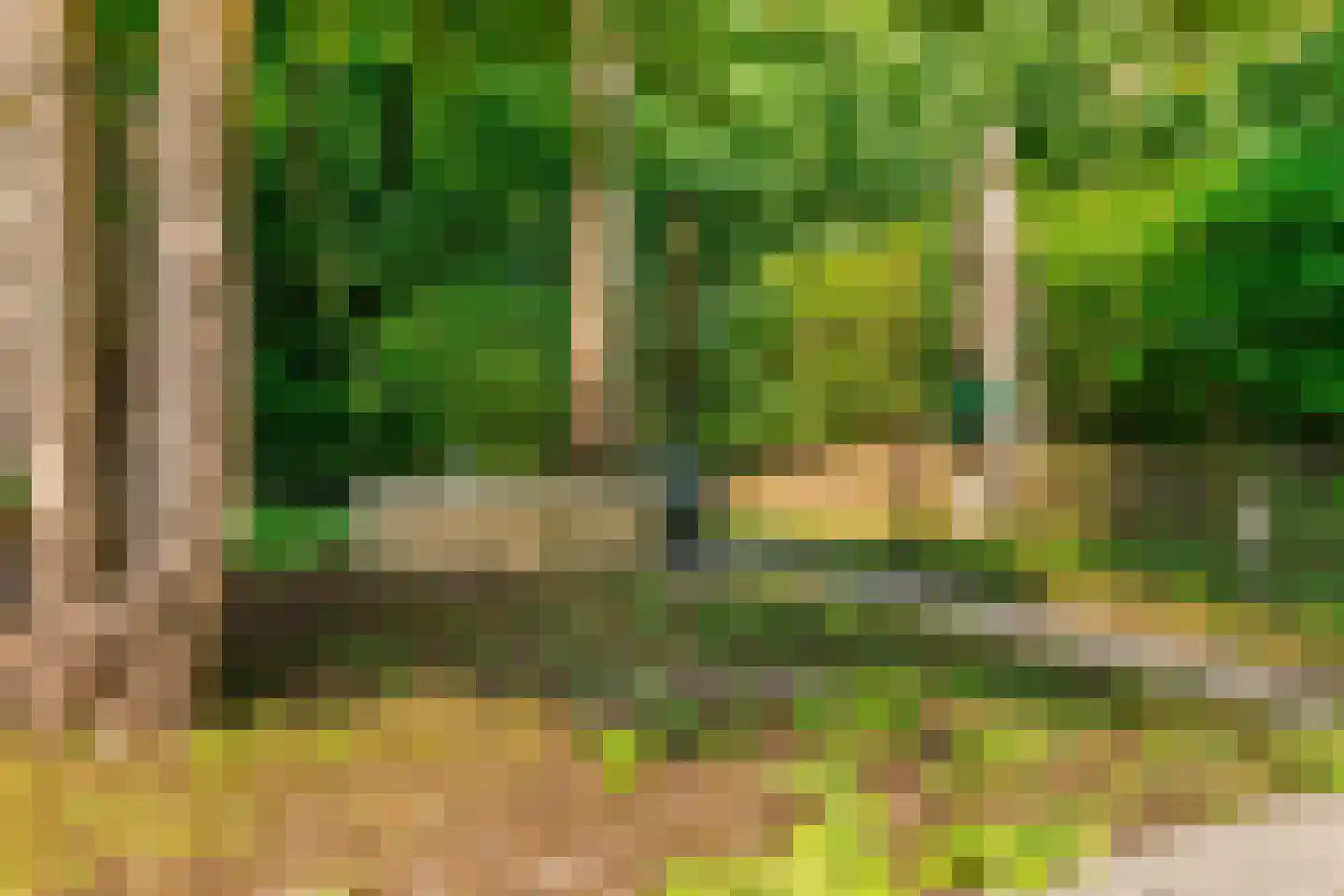 Duinenboschweg 5 Castricum thumbnail 35