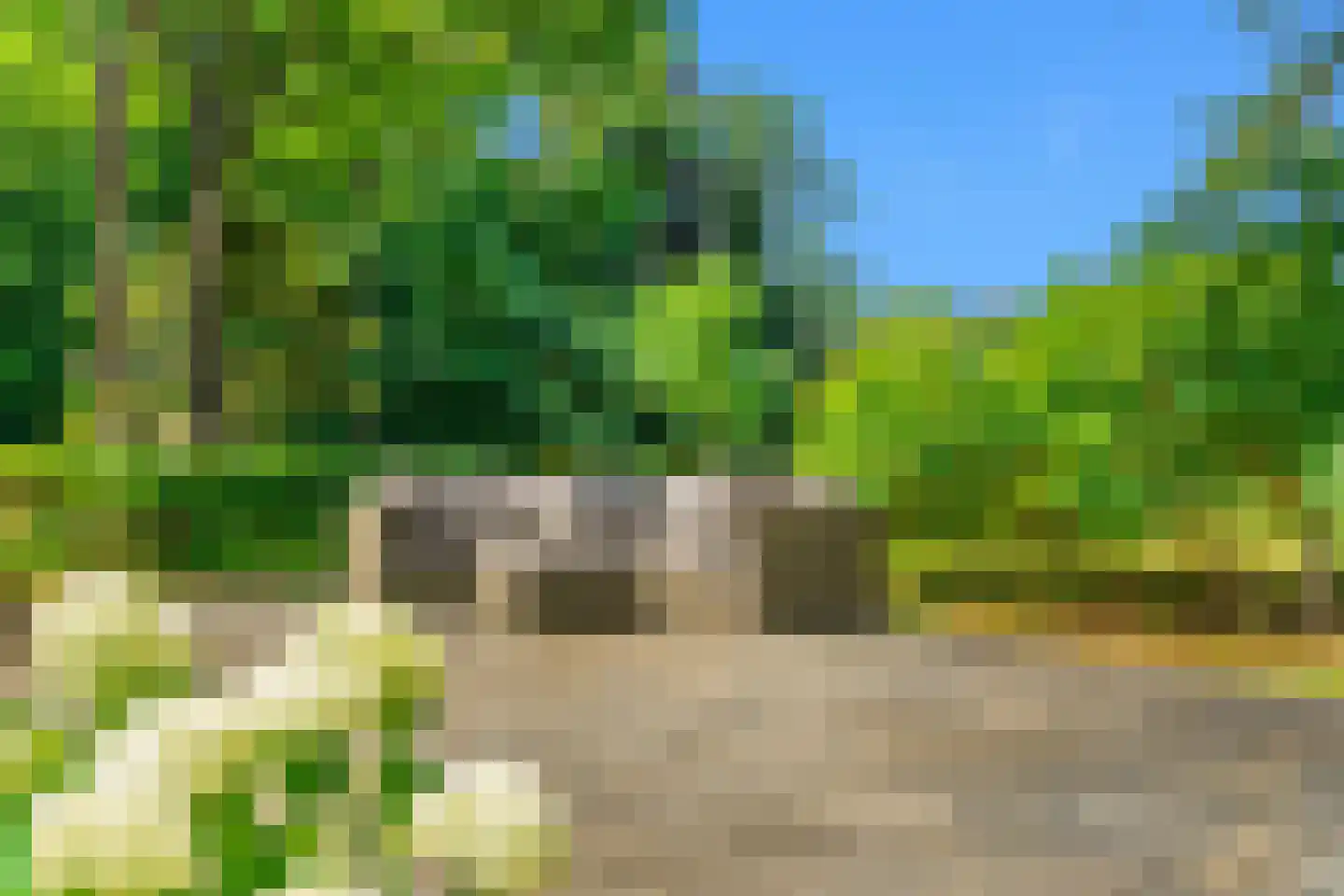 Duinenboschweg 5 Castricum thumbnail 36