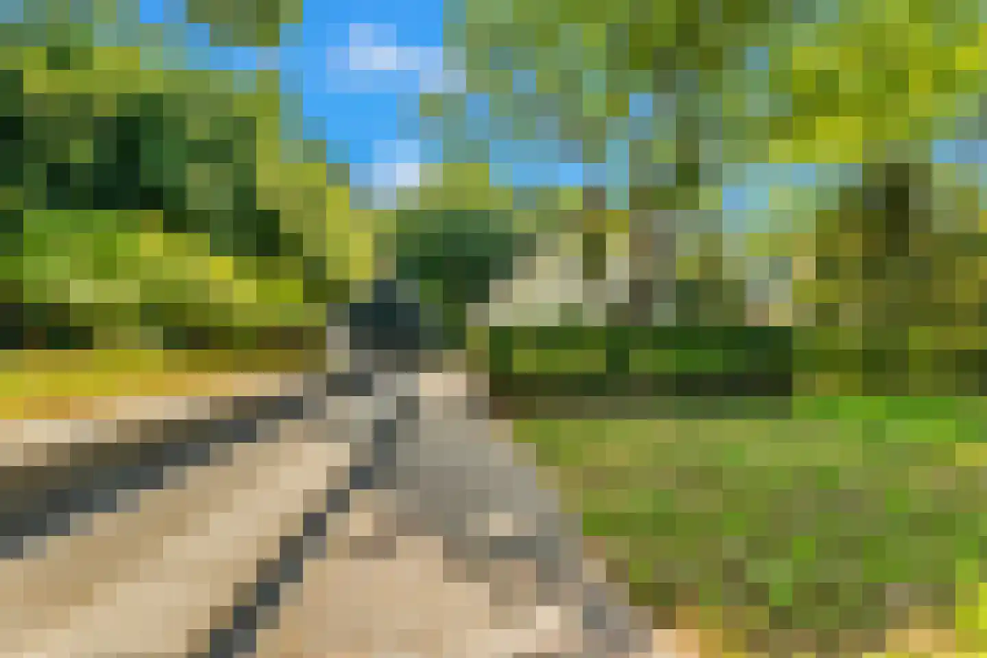 Duinenboschweg 5 Castricum thumbnail 40