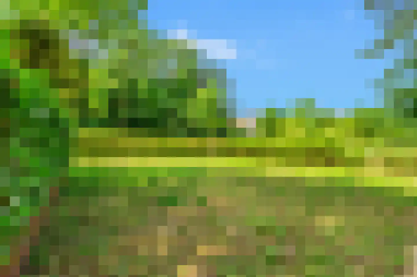 Duinenboschweg 5 Castricum thumbnail 41