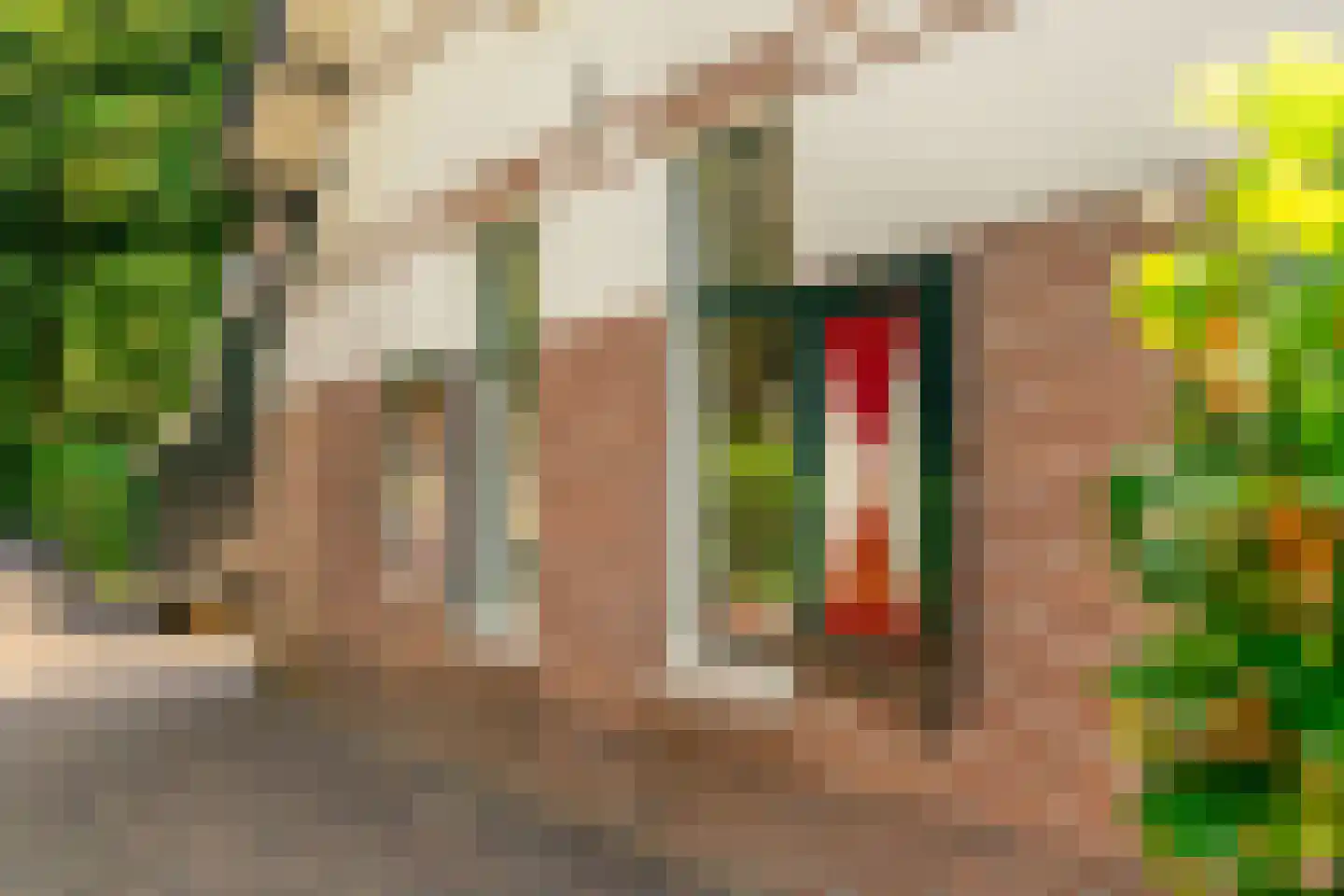 Duinenboschweg 5 Castricum thumbnail 42