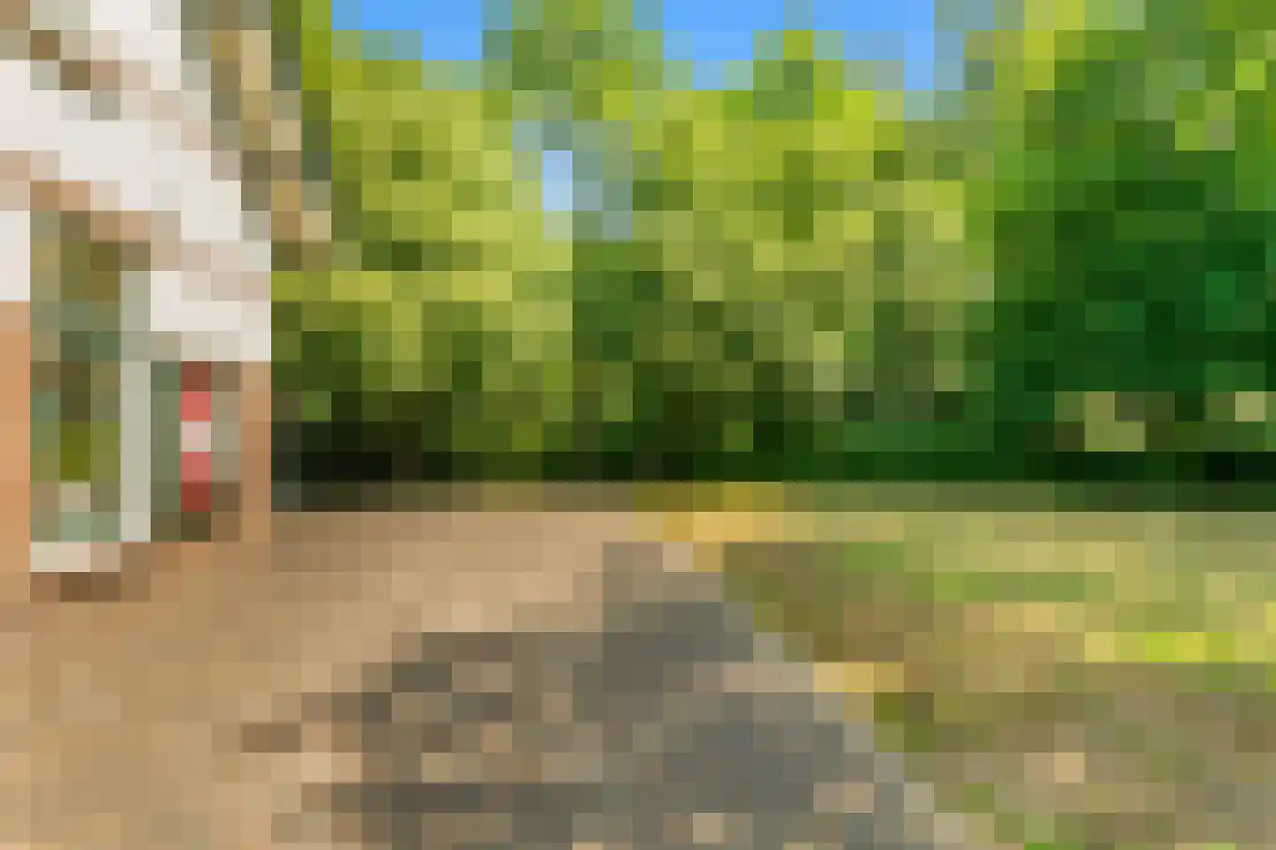 Duinenboschweg 5 Castricum thumbnail 47