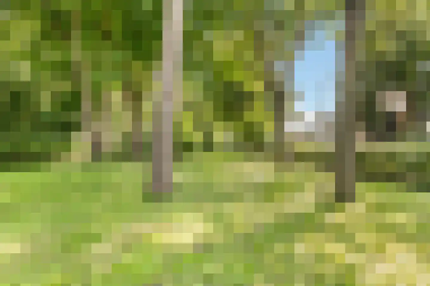 Duinenboschweg 5 Castricum thumbnail 48