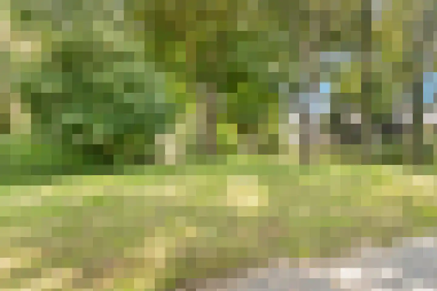 Duinenboschweg 5 Castricum thumbnail 49