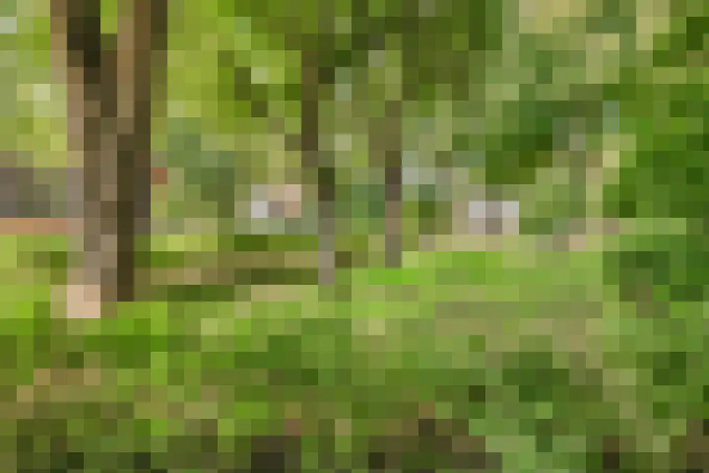 Duinenboschweg 5 Castricum thumbnail 51