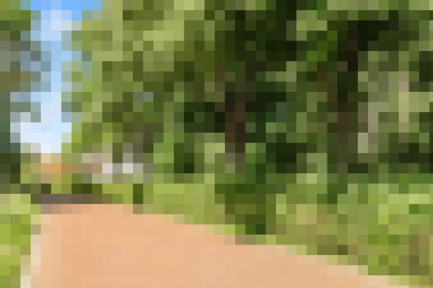 Duinenboschweg 5 Castricum thumbnail 52