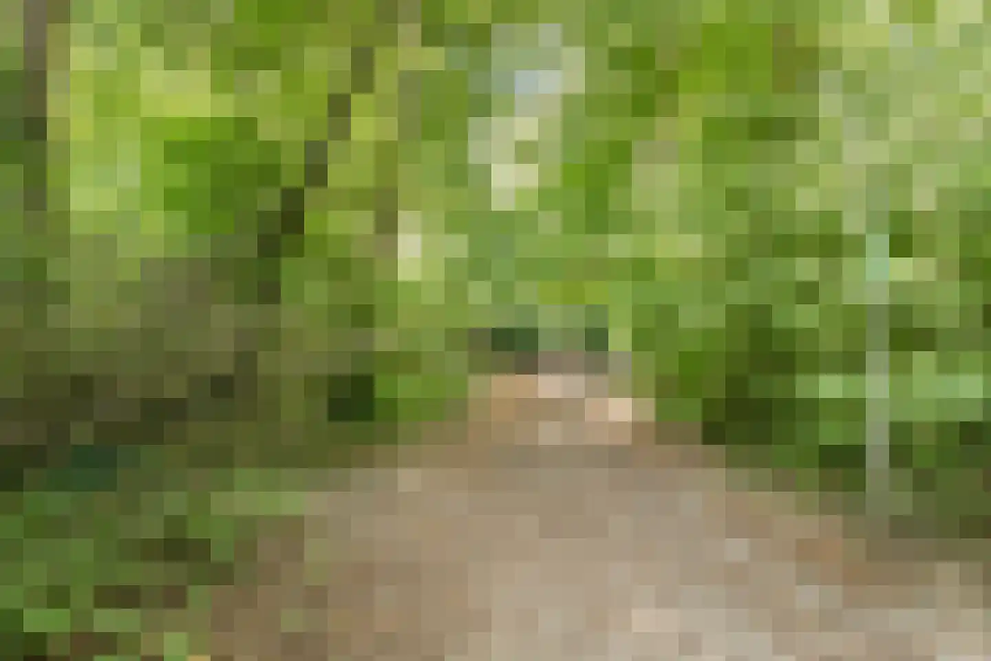 Duinenboschweg 5 Castricum thumbnail 53