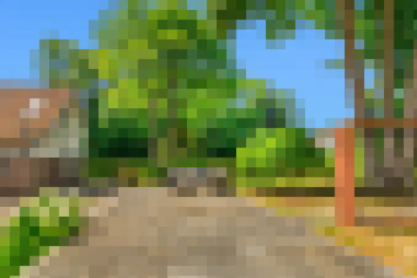 Duinenboschweg 5 Castricum thumbnail 7