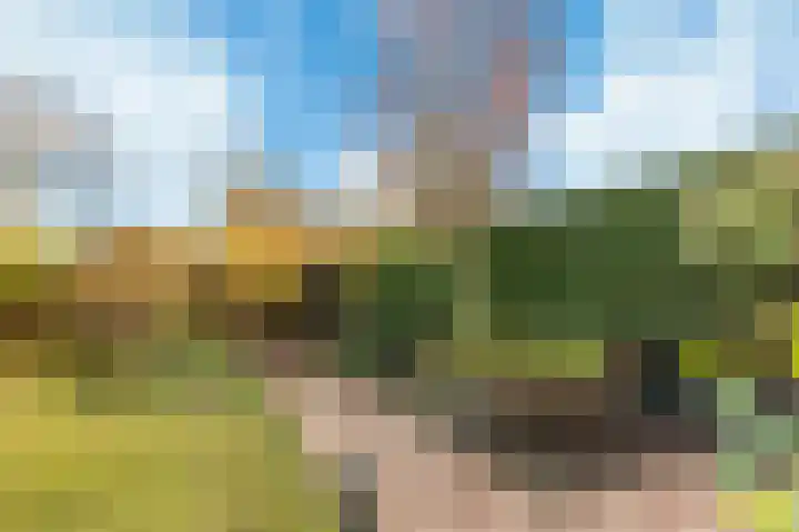 Duinenburg 12 Hoofddorp thumbnail 25