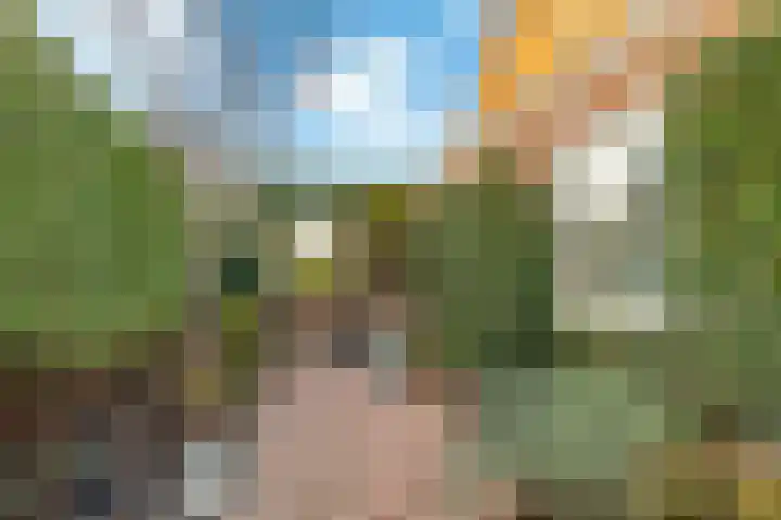 Duinenburg 12 Hoofddorp thumbnail 26