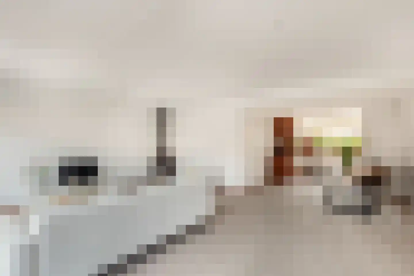 Duinenburg 12 Hoofddorp thumbnail 4