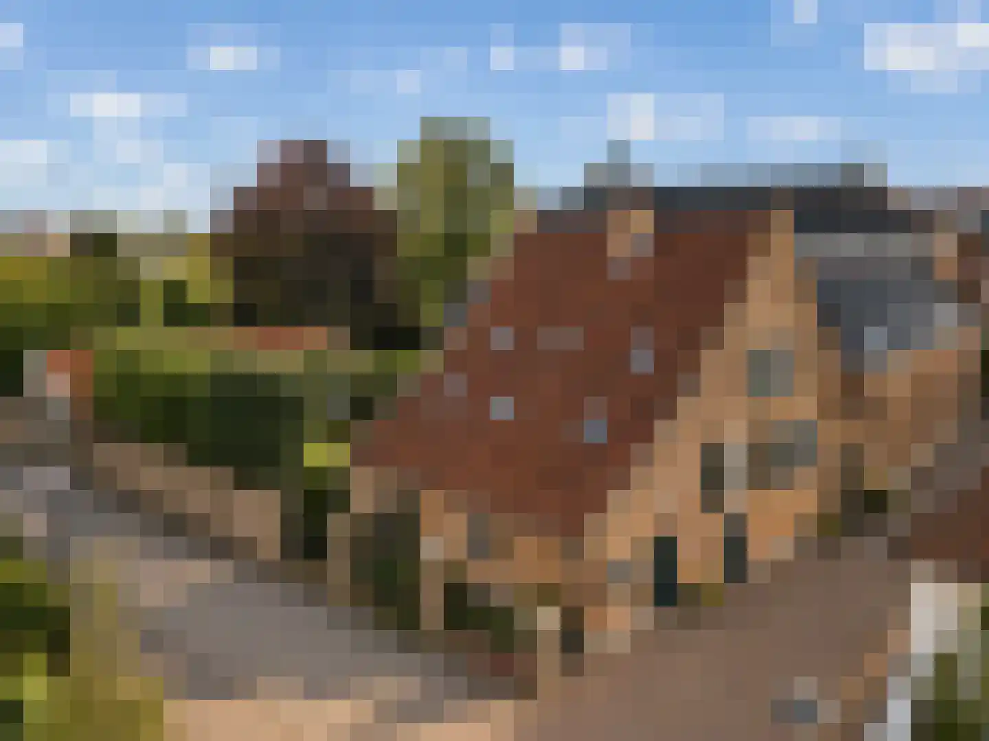 Duinendaal 4 in Boxtel