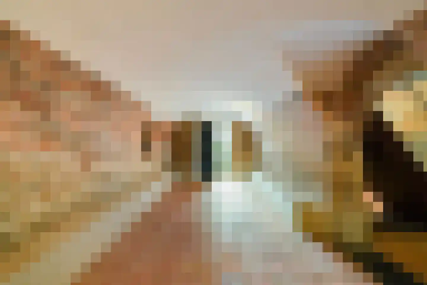 Duinendaal 4 Boxtel thumbnail 20