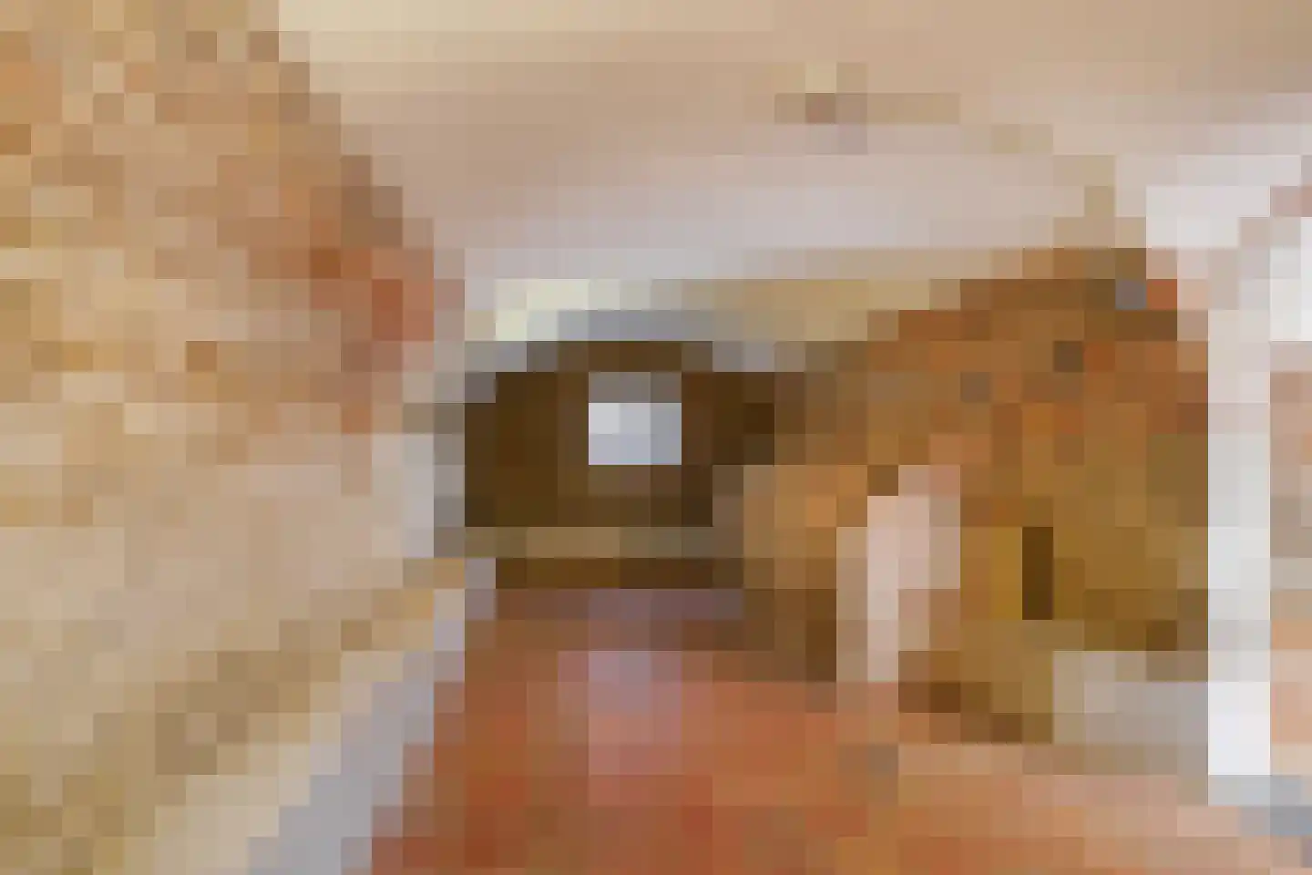 Duinendaal 4 Boxtel thumbnail 21