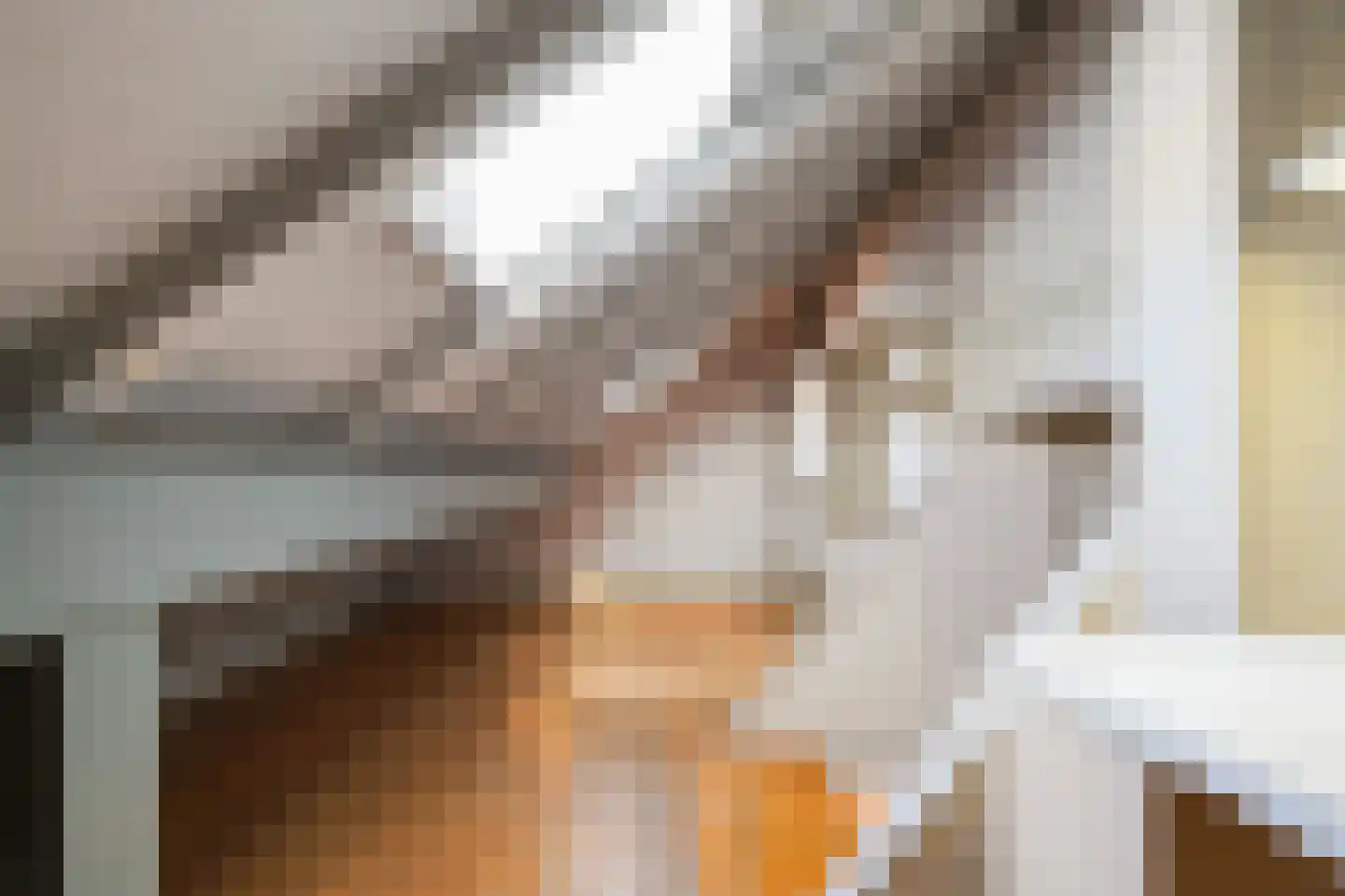 Duinendaal 4 Boxtel thumbnail 42