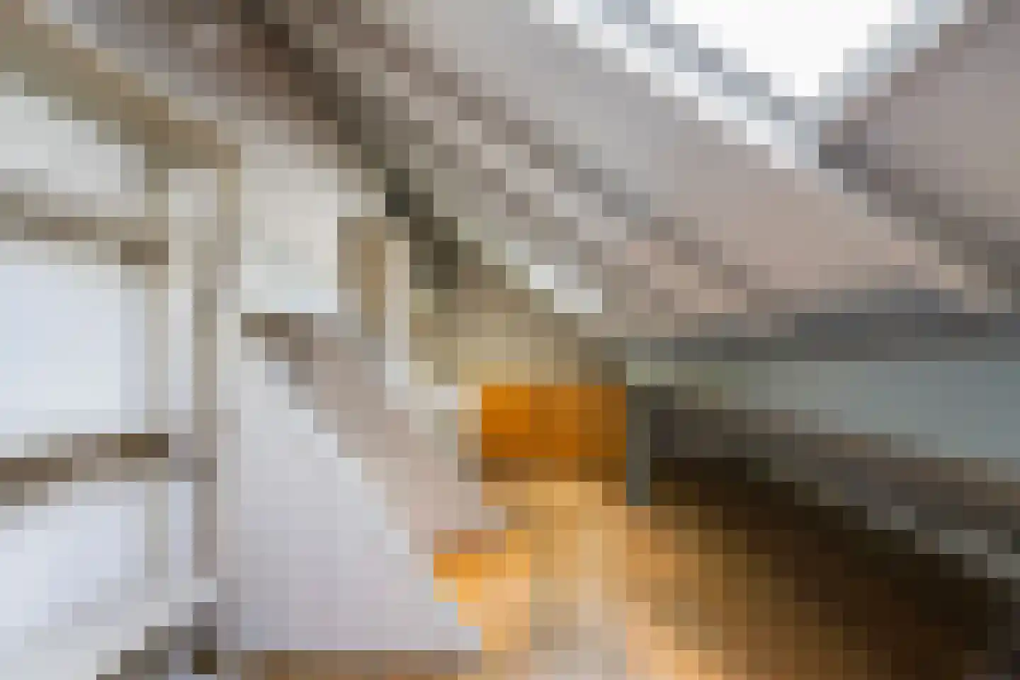 Duinendaal 4 Boxtel thumbnail 43