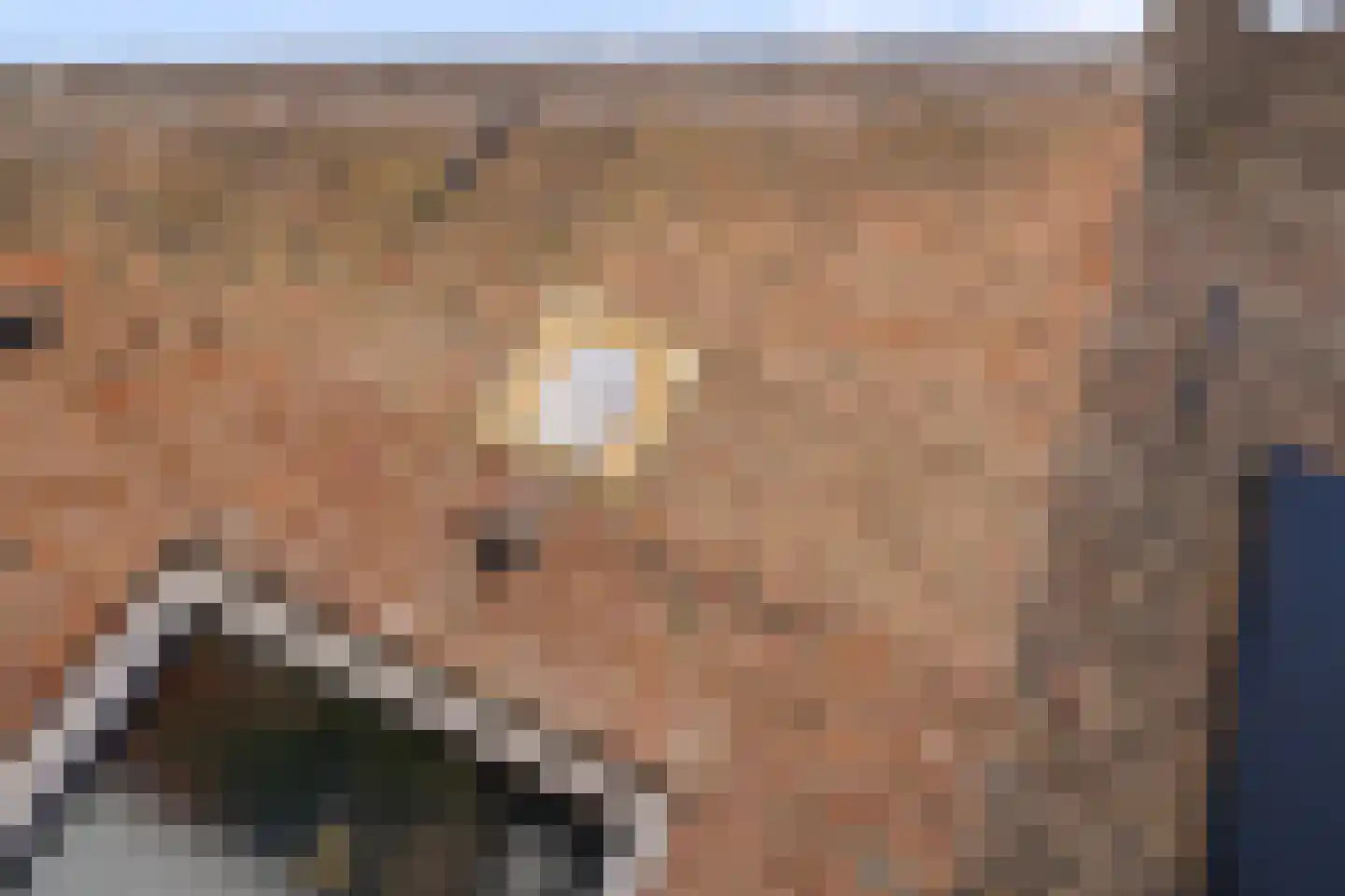 Duinendaal 4 Boxtel thumbnail 5