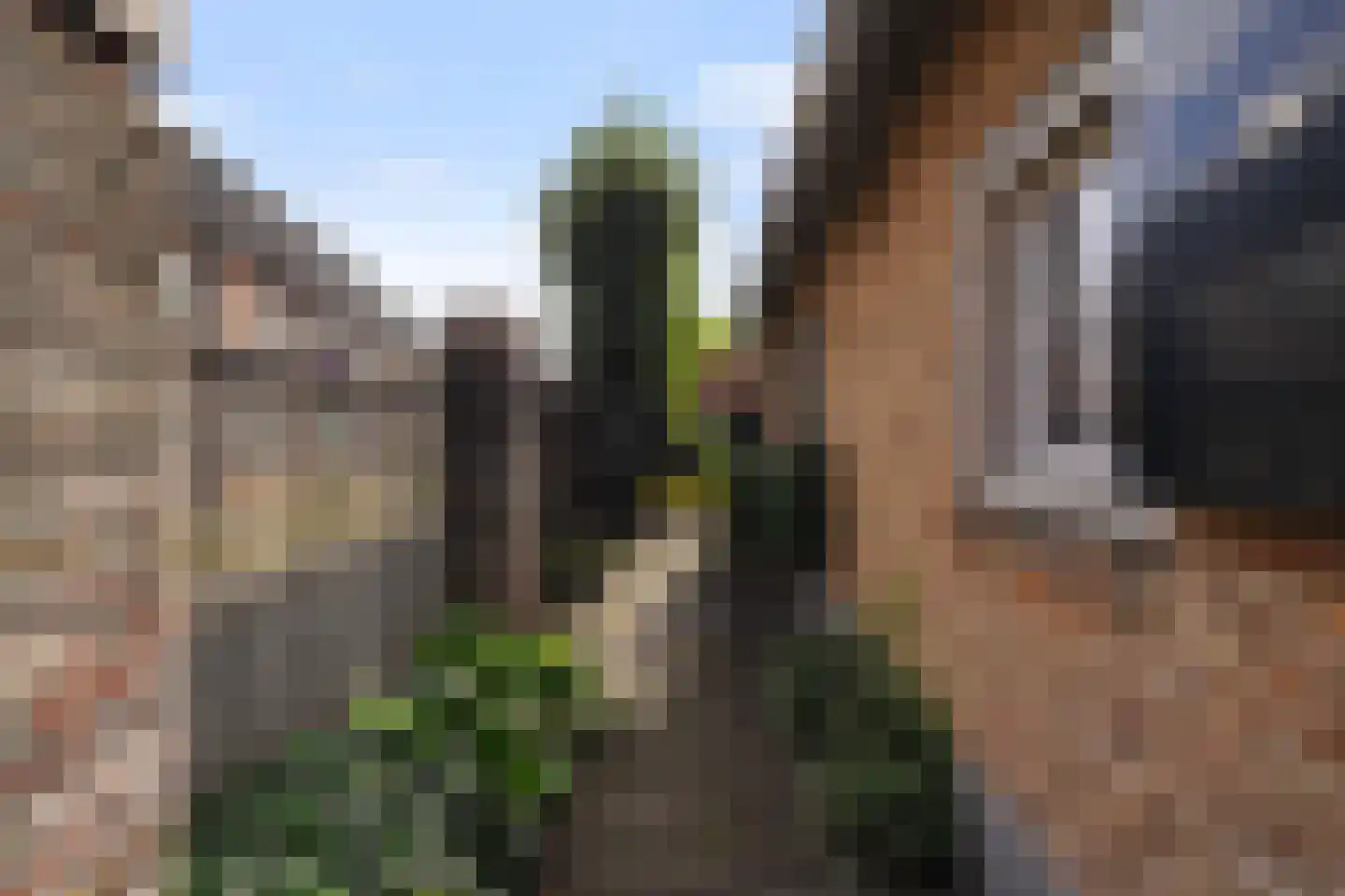 Duinendaal 4 Boxtel thumbnail 66