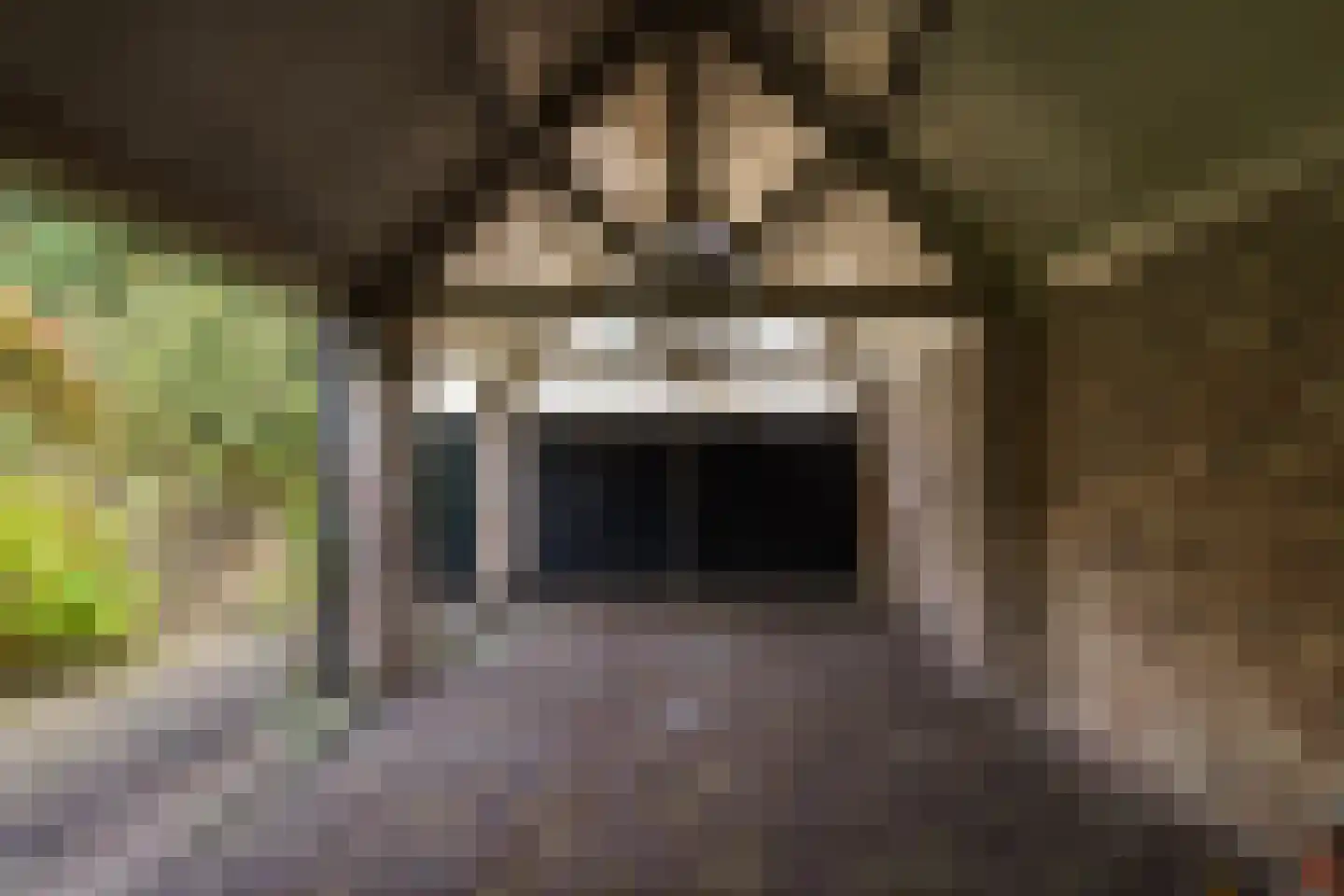 Duinendaal 4 Boxtel thumbnail 72