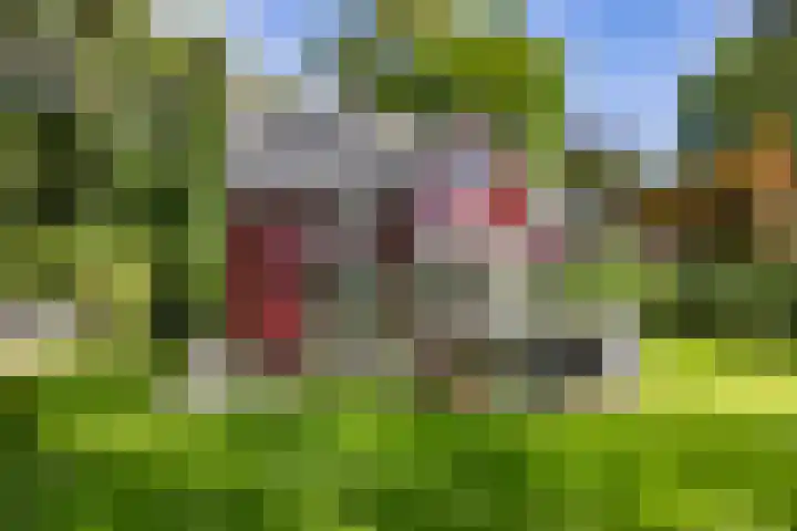 Duinenweg 5 3 Oisterwijk thumbnail 30