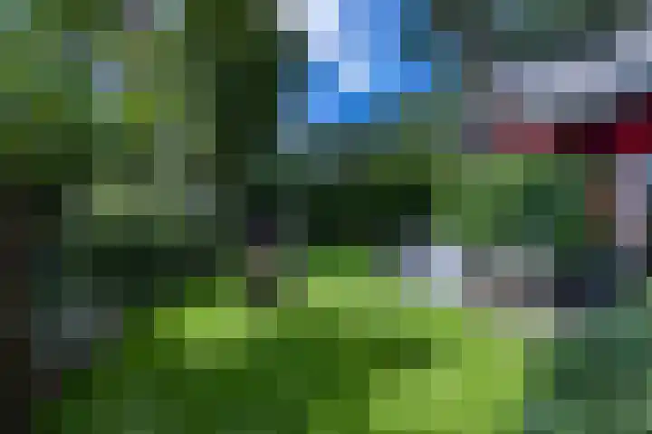 Duinenweg 5 3 Oisterwijk thumbnail 31