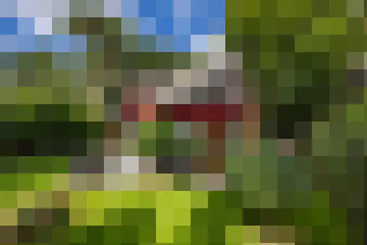 Duinenweg 5 3 Oisterwijk thumbnail 32