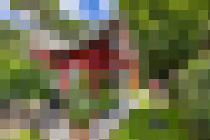 Duinenweg 5 3 Oisterwijk thumbnail 33