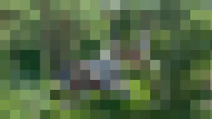 Duinenweg 5 3 Oisterwijk thumbnail 34